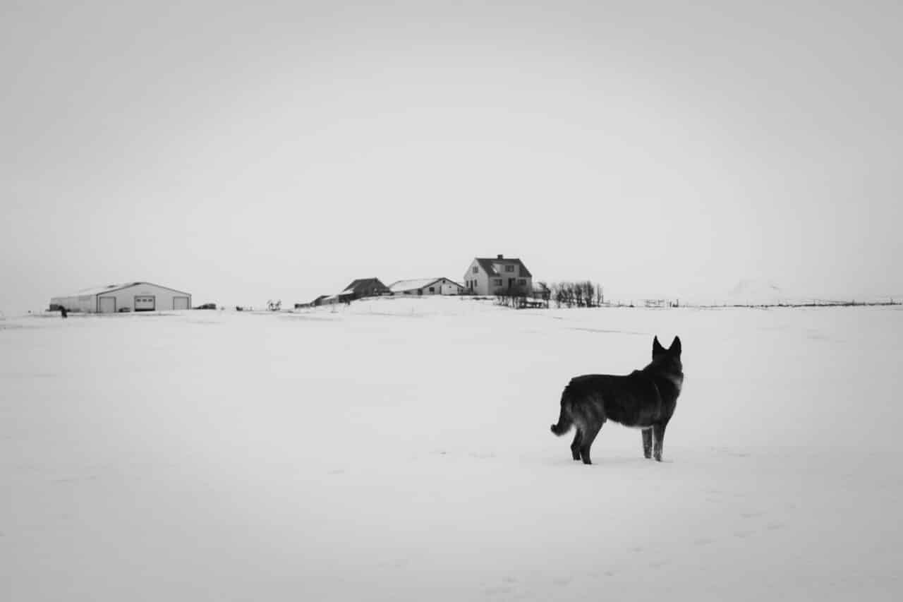 Colors in Photography: White