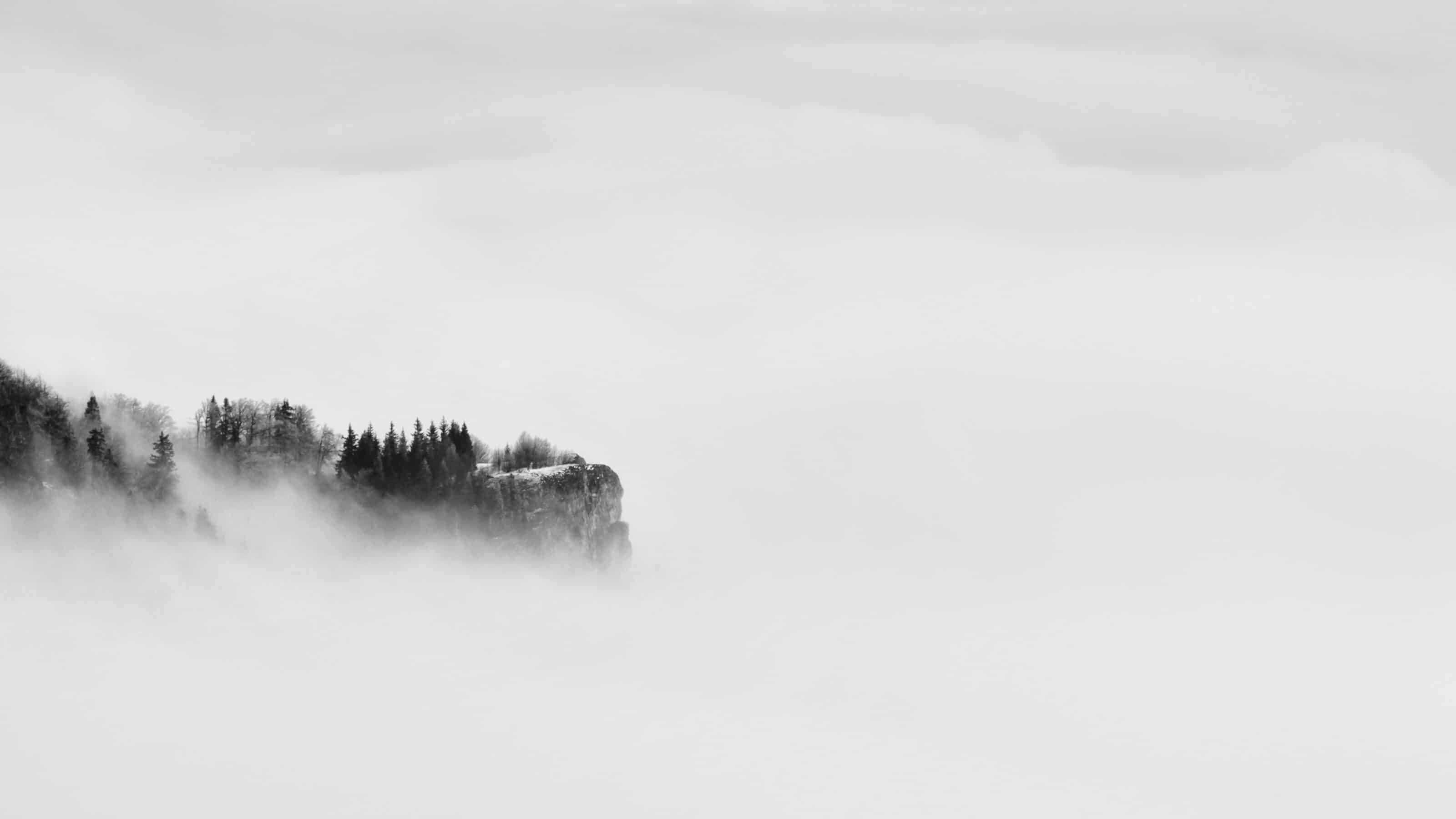 Colors in Photography All There Is to Know about White