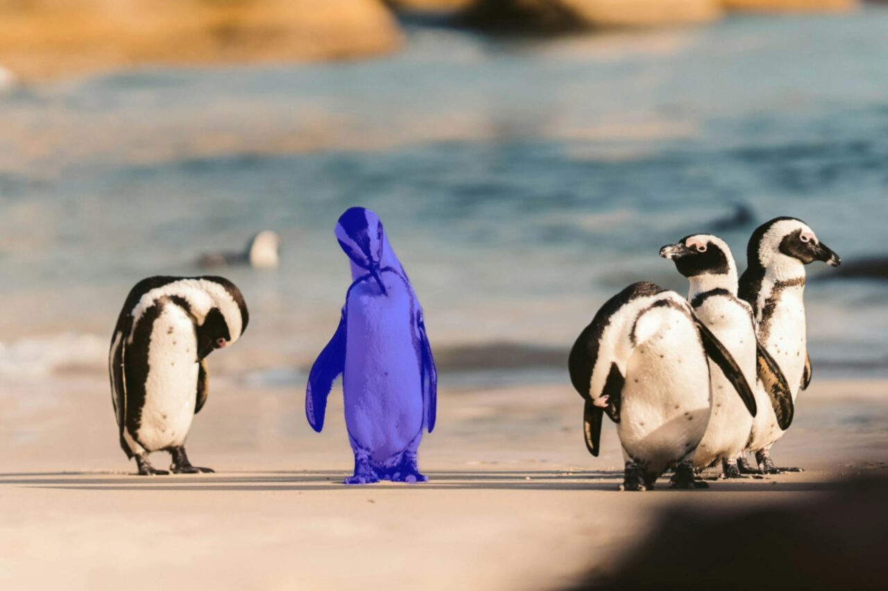 AI masks in Zoner Studio: object selected