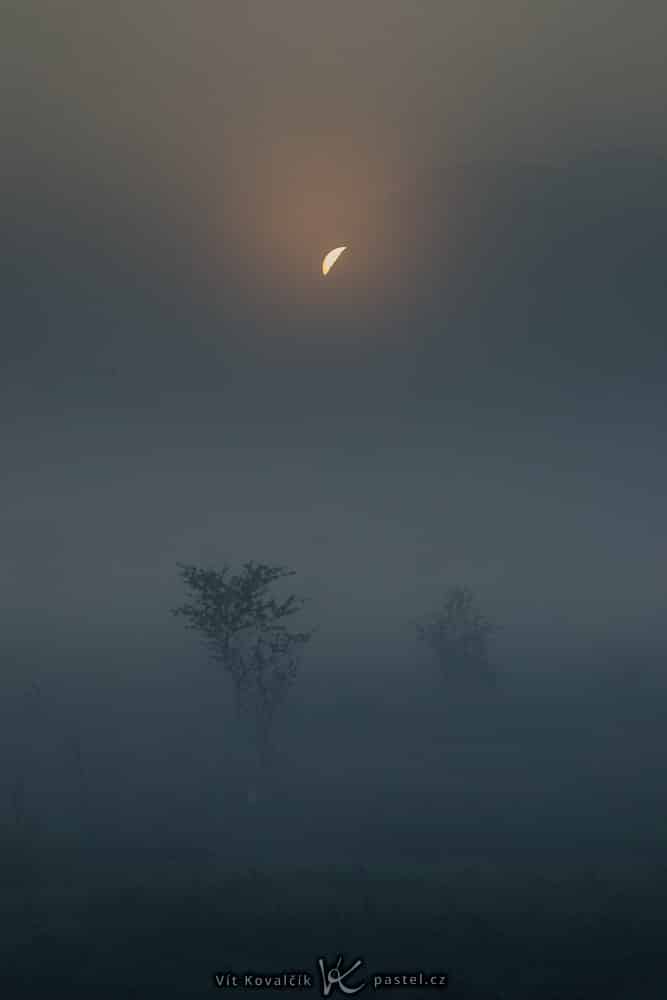 How to Photograph with the Sun in the Frame: a sun in the fog.