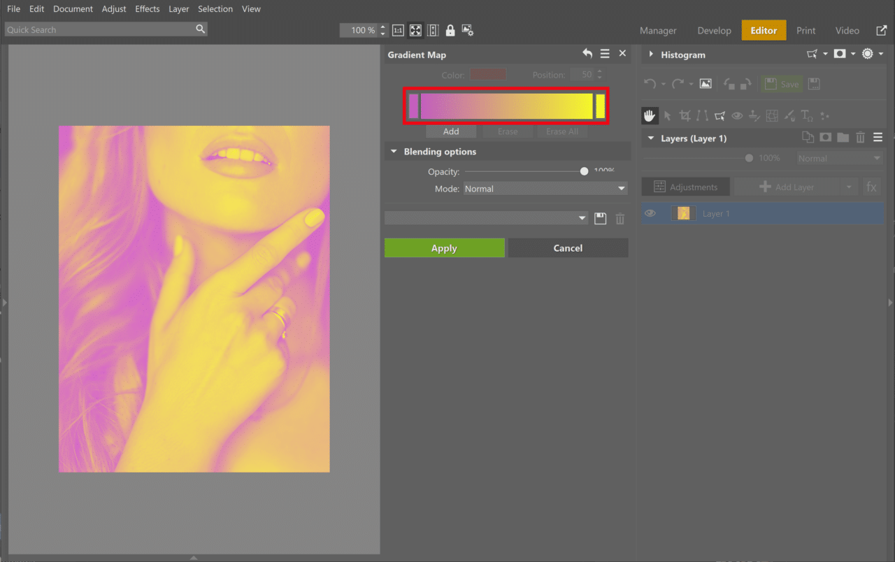 Turn Your Photography into Pop Art, duotone