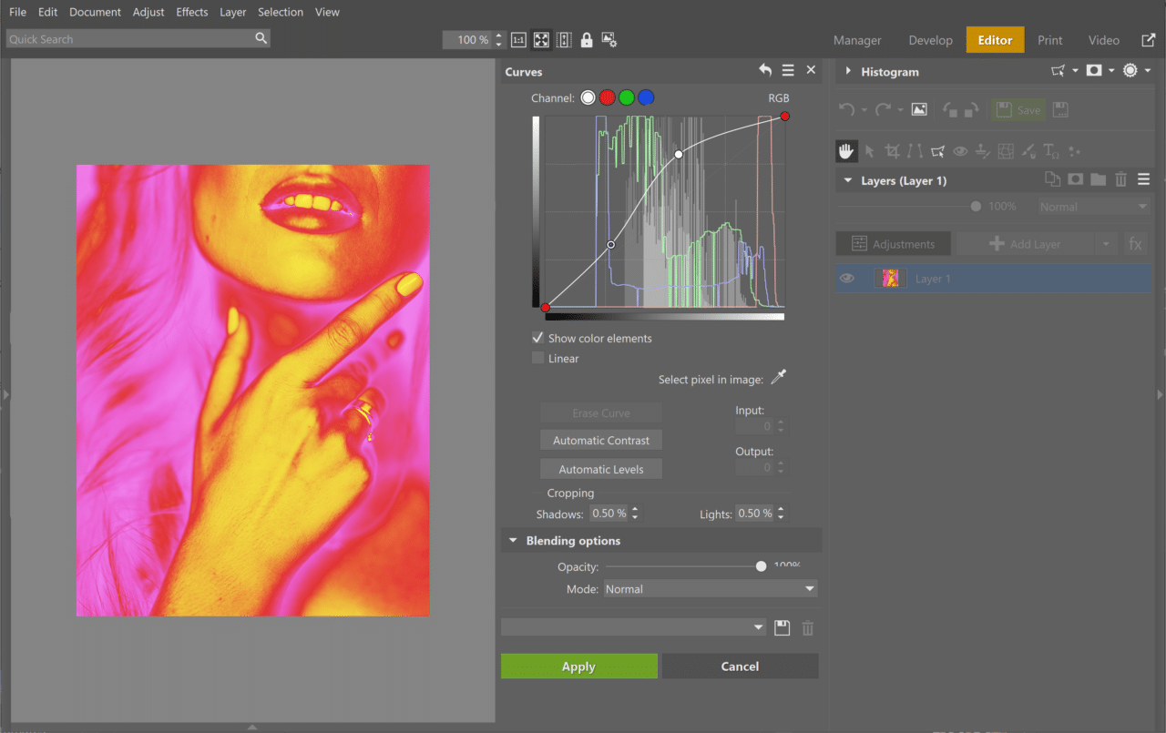 Turn Your Photography into Pop Art, curves