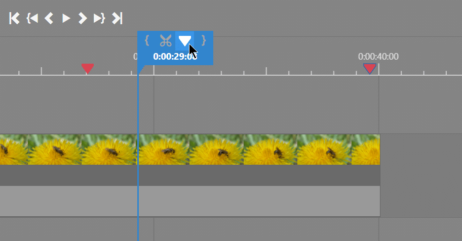 add marker in video modul in Zoner Studio