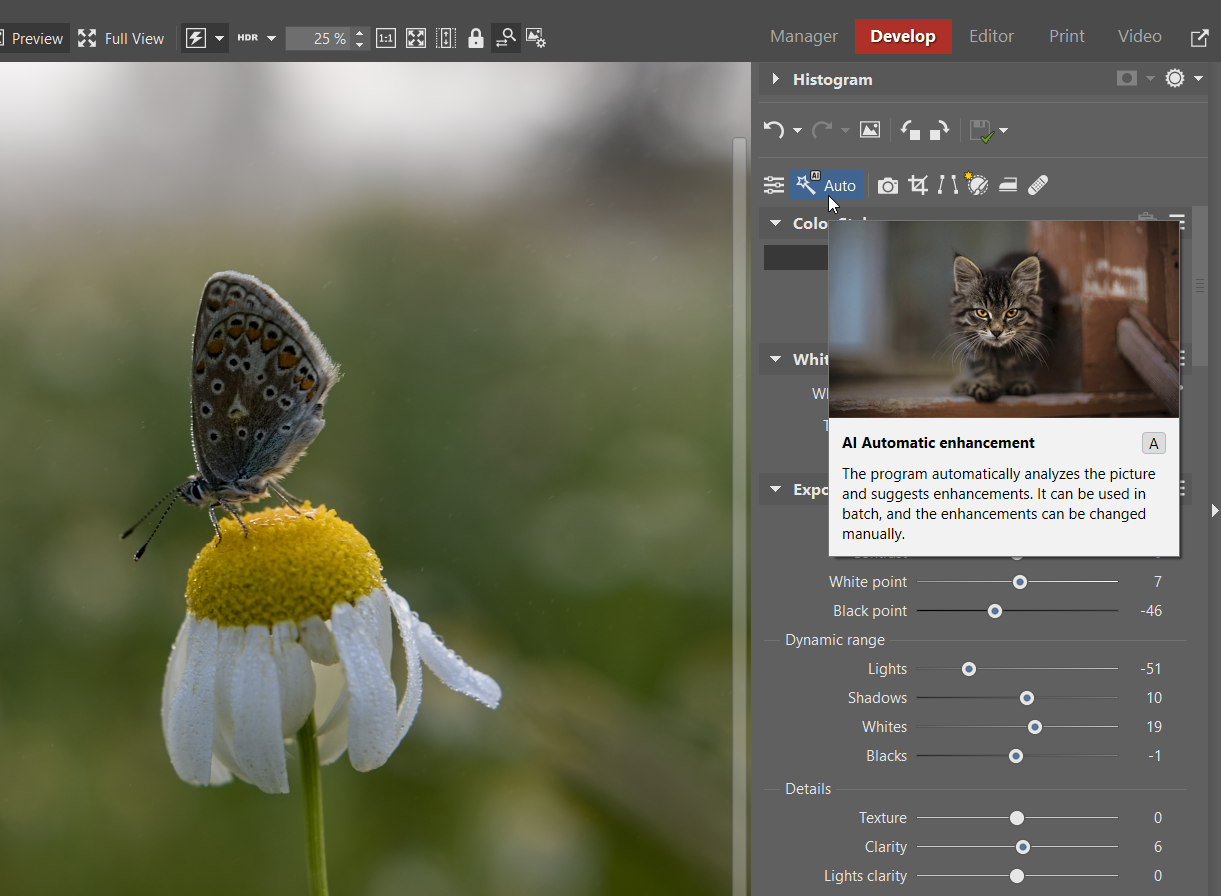 How to Edit RAW Files: Automatic adjustments