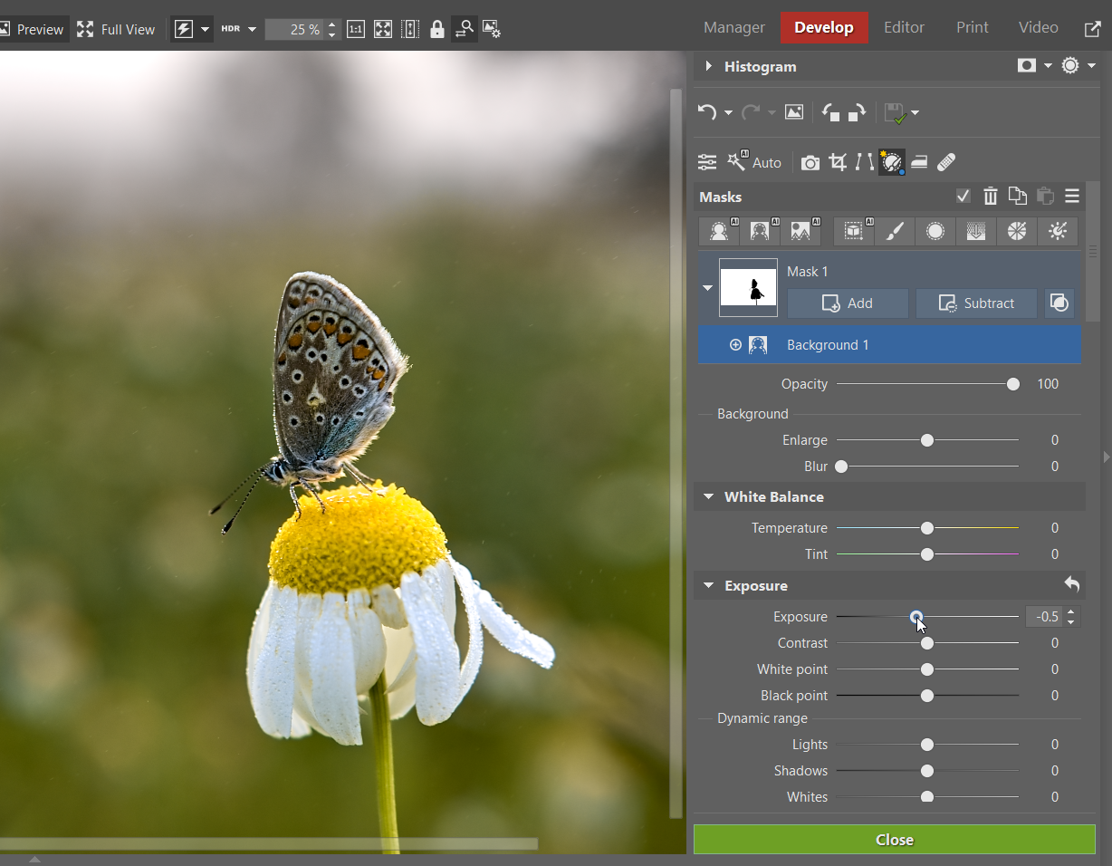 How to Edit RAW Files: Darken background