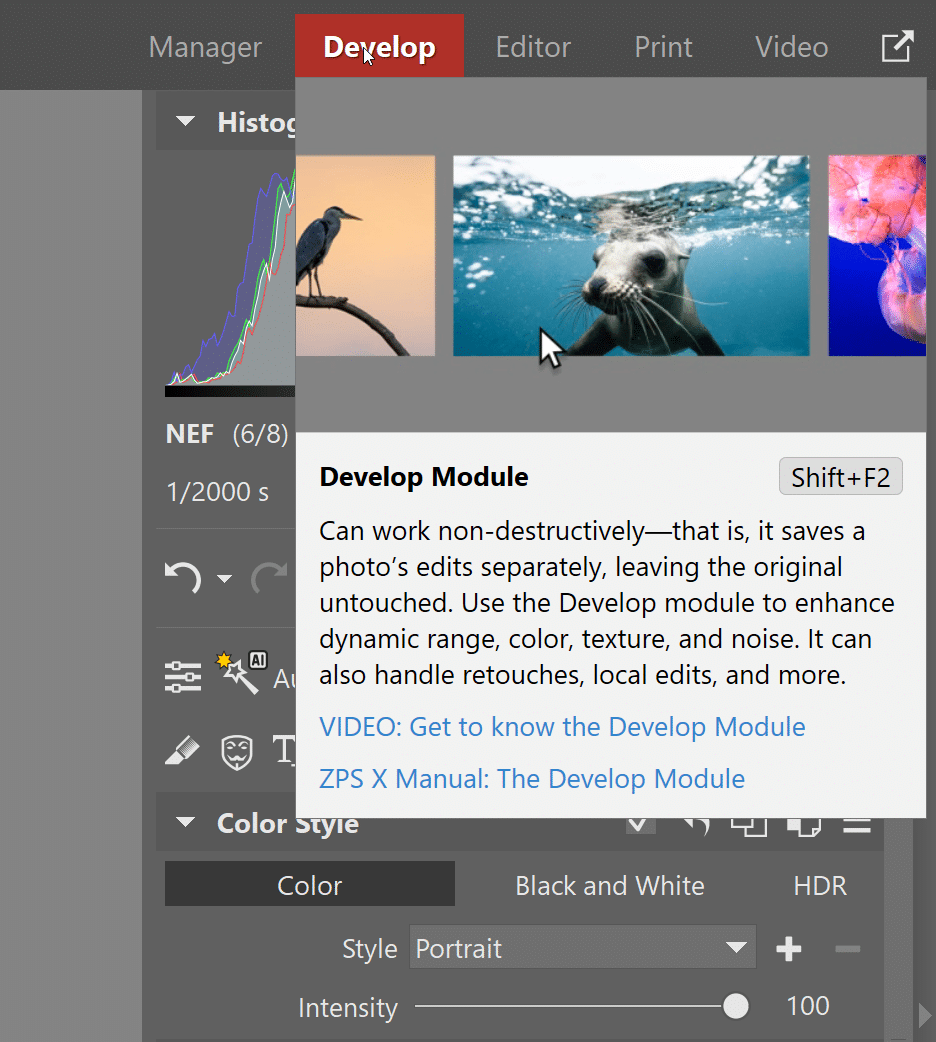 Part 3 The Develop Module, develop